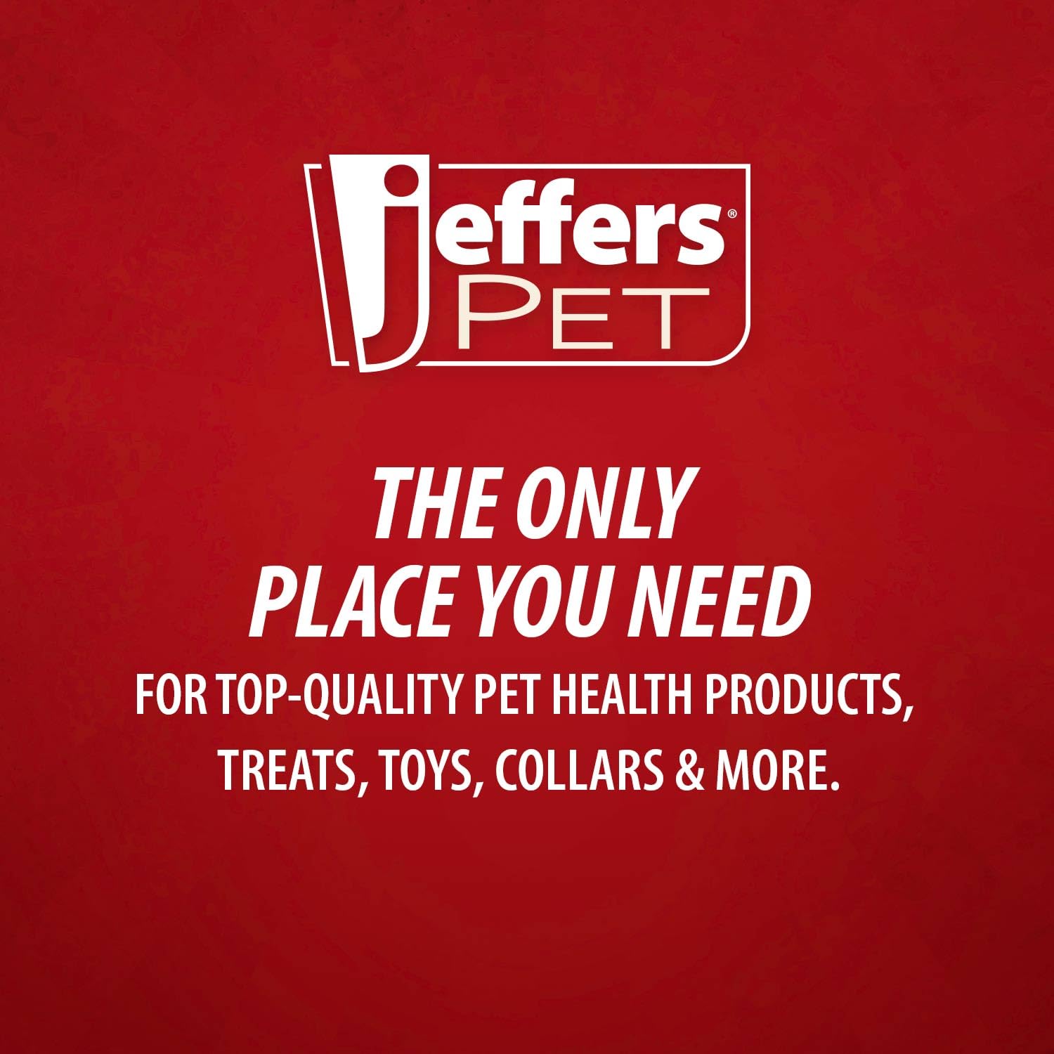 Jeffers Pet Apricot Kernel Shampoo - Detergent & Soap Free Exfoliating & Moisturizing Formula For Dogs, Cats, Puppies, Ferrets &